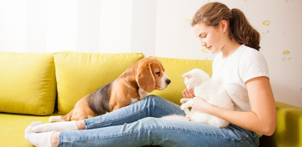 The dog and the girl are looking at the cat and sitting on the sofa.