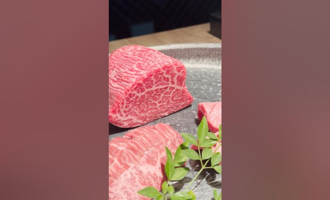 Omakase AND Wagyu in one day! Dine with us in Tokyo #shorts