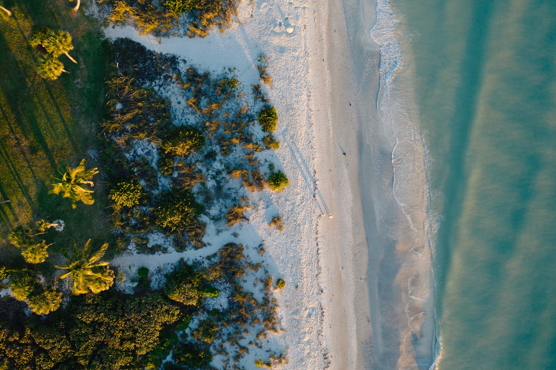 Sanibel Island (photo: Drew Darby)