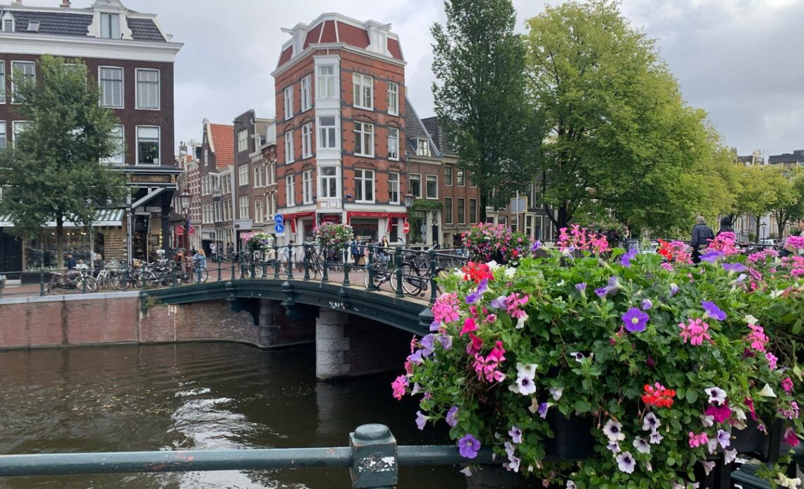 UK tourists to Netherlands down 22% after Amsterdam campaign urging Brits to stay away