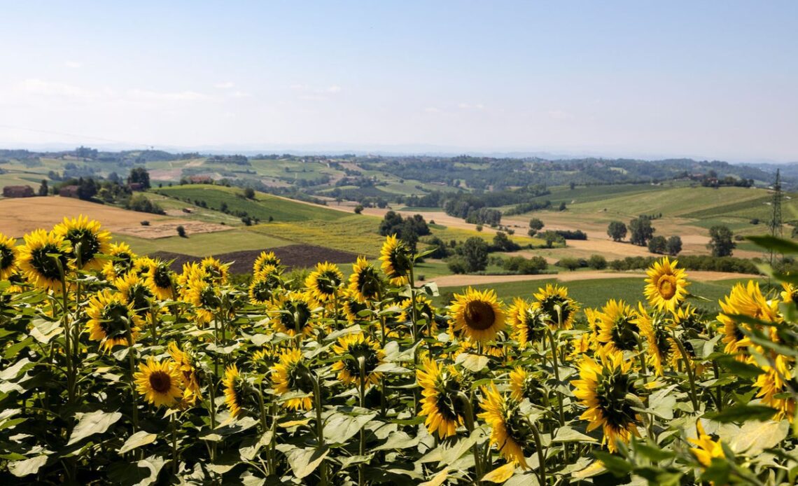 Why you should swap Florence and the Chianti region for Turin and the Langhe for culture and wine