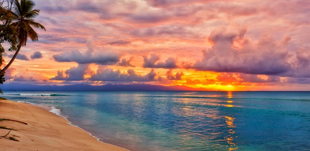 A beach with blue water and a coconut tree near the shore, as well as clear water at sunset.