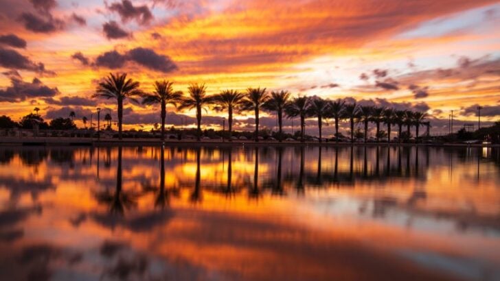 Mesa Riverview Park at sunset in Arizona.