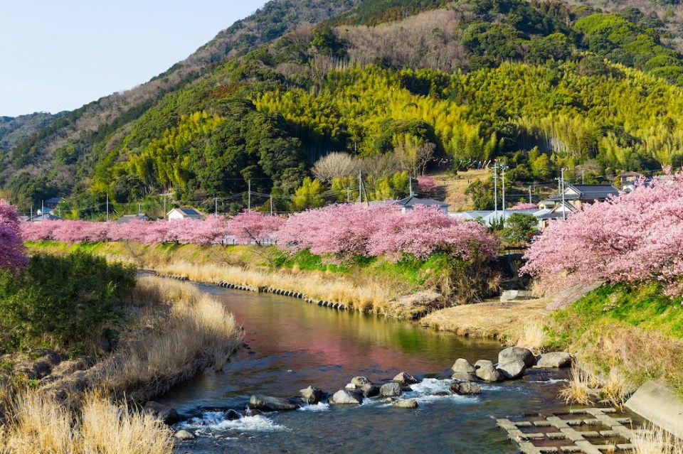 Countryside in Japan