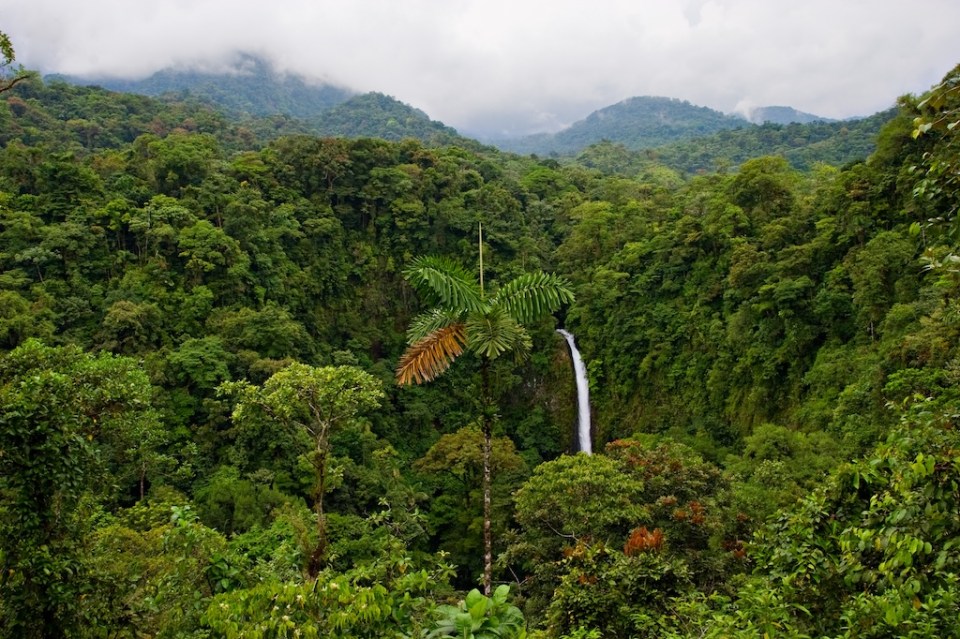 Wonderful view over Costa Rican rain forest. La Fortuna waterfall on background.