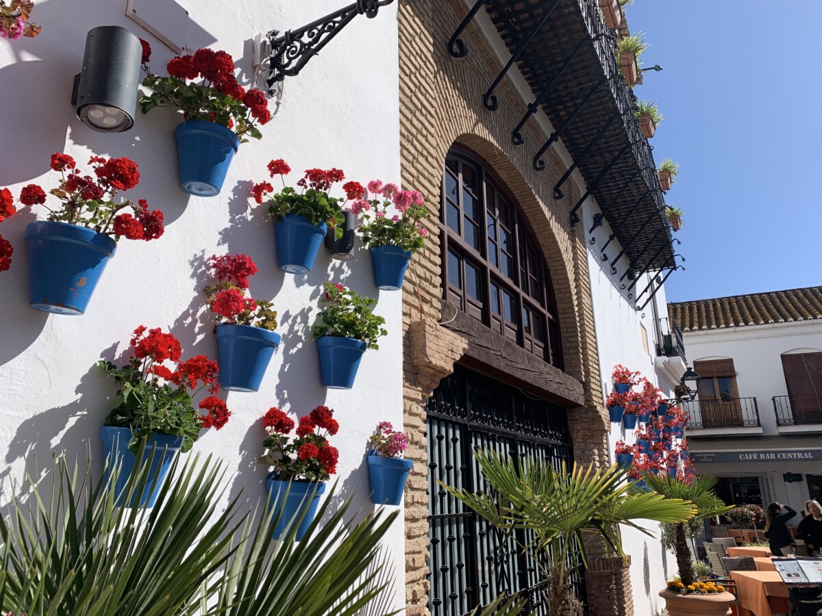 Potted flowers on a whitewashed house in the old town of Marbella, Spain