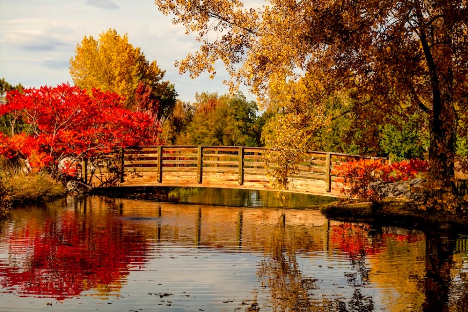 Small pond with wooden bridge surrounded by brilliant changing fall colors on sunny late afternoon