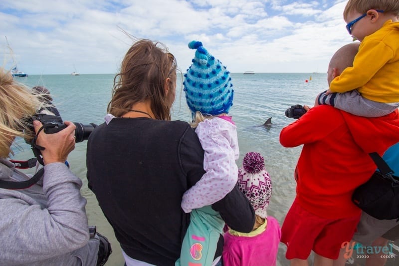 people wearing beanies and looking at an animal in the ocean