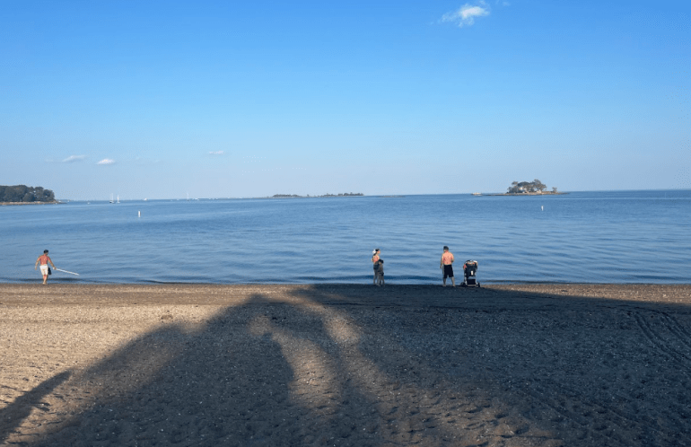 calf pasture beach norwalk