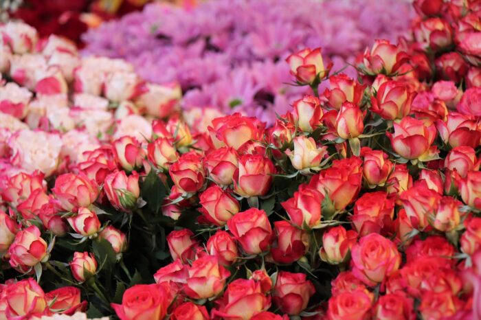 Manila Flower Market