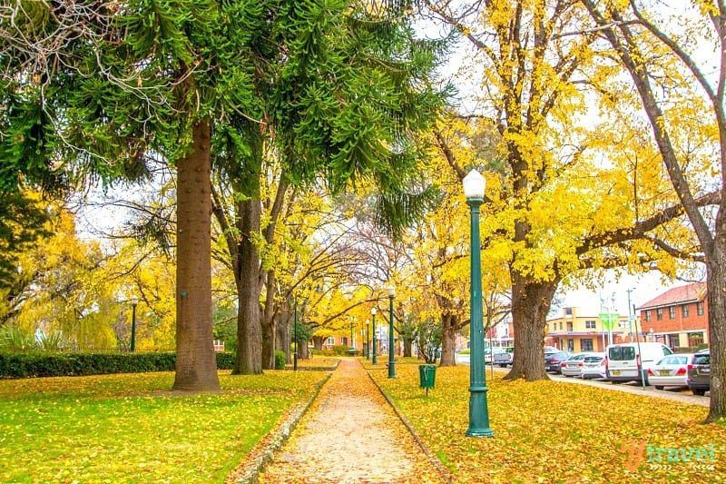 pathway lined with fall foliage bathurst