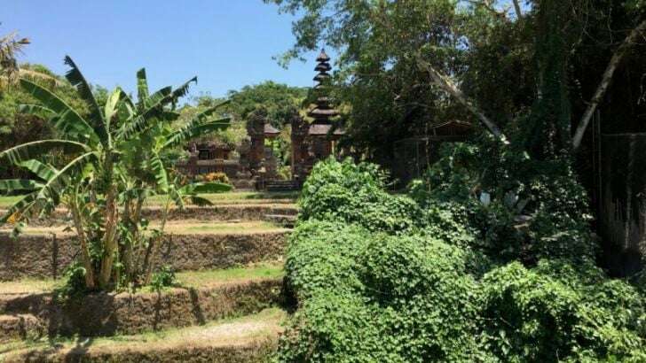 Temple among old rice paddies in Bali, Indonesia