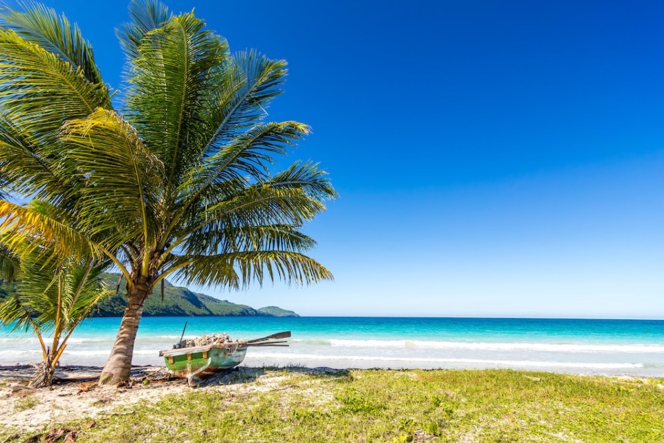 Boat by palm tree on one of the most beautiful tropical beaches in Caribbean, Playa Rincon, near Las Galeras, Dominican Republic