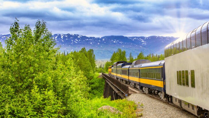 Train in Denali National Park, Alaska