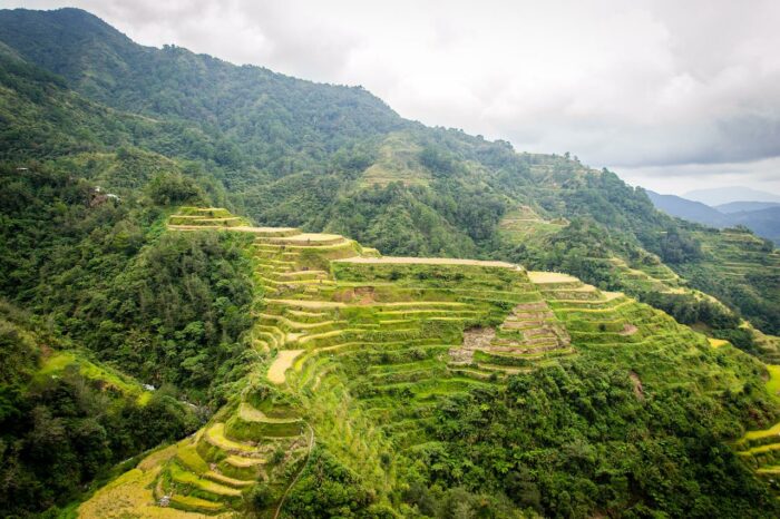 Banaue Rice Terraces