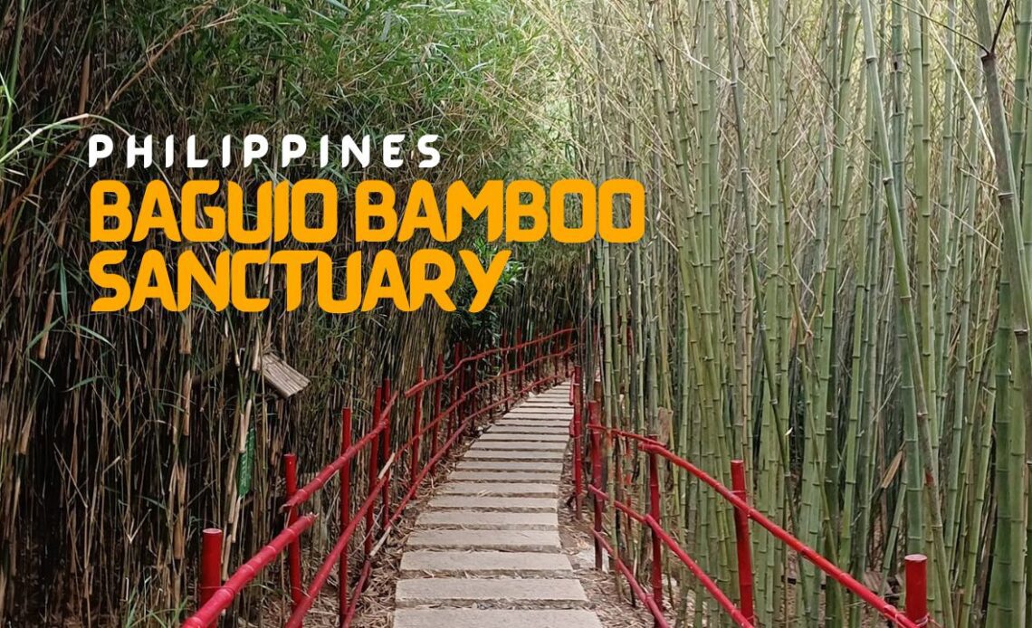 Explore The Beautiful Bamboo Sanctuary in Baguio City