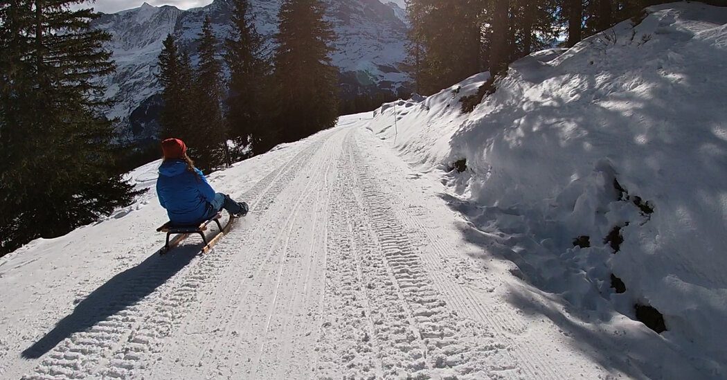 Extreme Sledding in the Swiss Alps