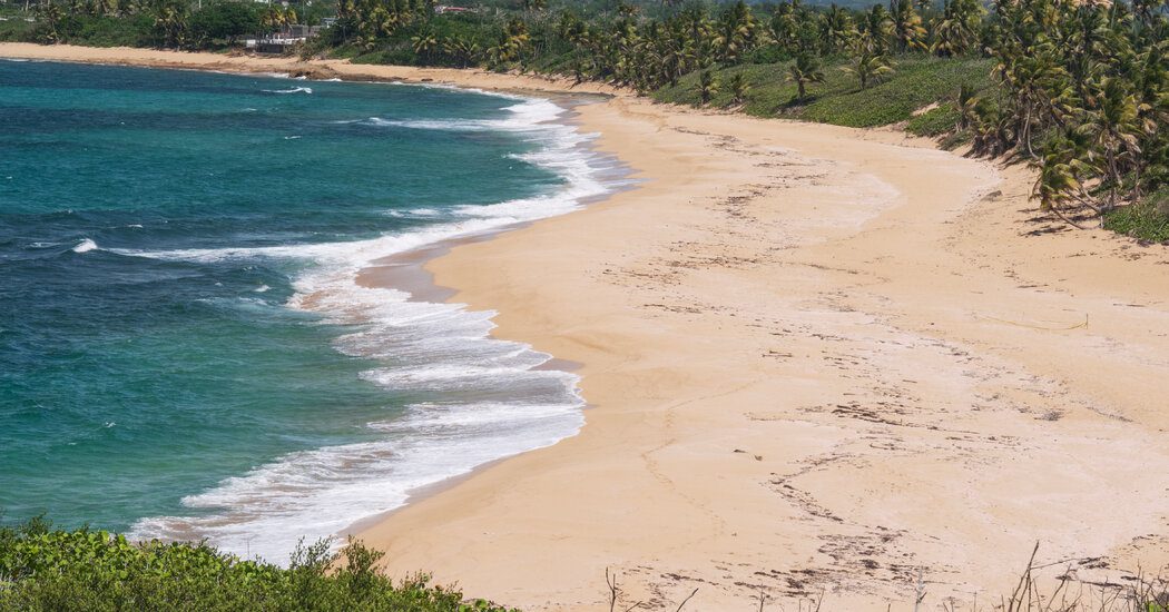 In Puerto Rico, Finding a Way Back to ‘Perfect Beach’