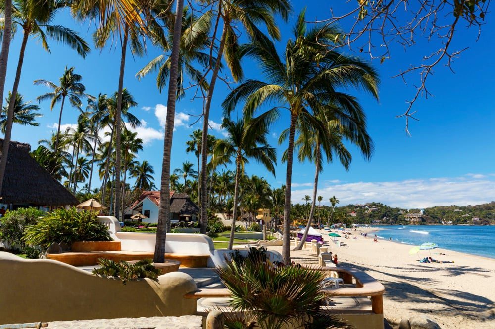 sayulita beach with palm trees in mexico