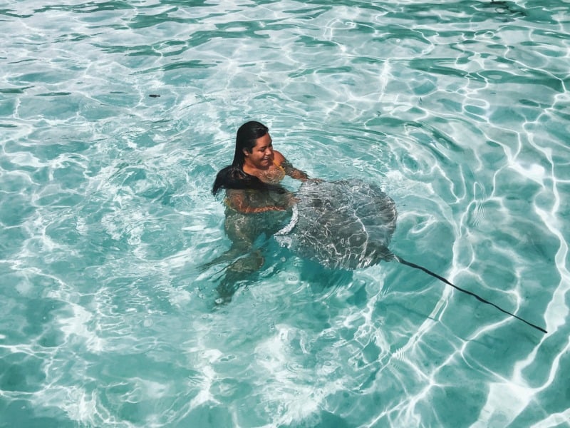Swimming with a stingray in Bora Bora