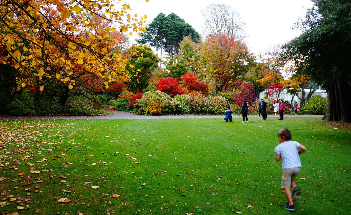 things to do at christchurch | royal botanic gardens