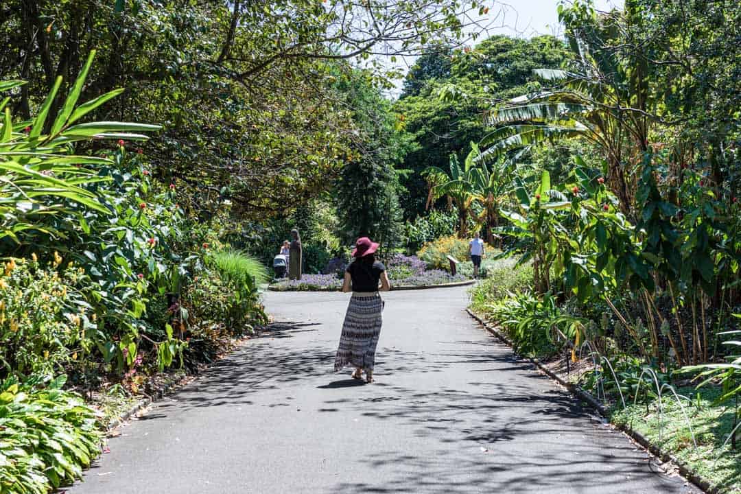 Botanical Gardens How To Spend A Day In Sydney