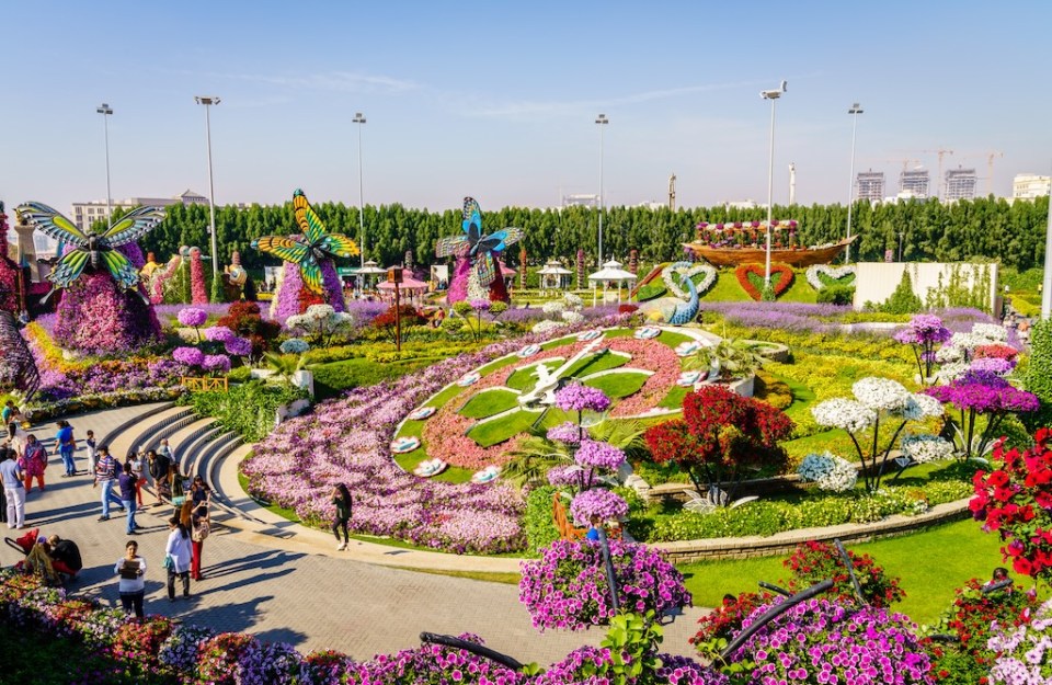 Miracle Garden is one of the main tourist attractions in Dubai, UAE