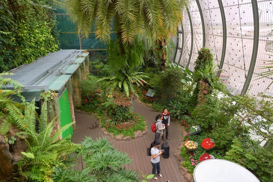 inside Butterfly Garden at Changi Airport Terminal 3.