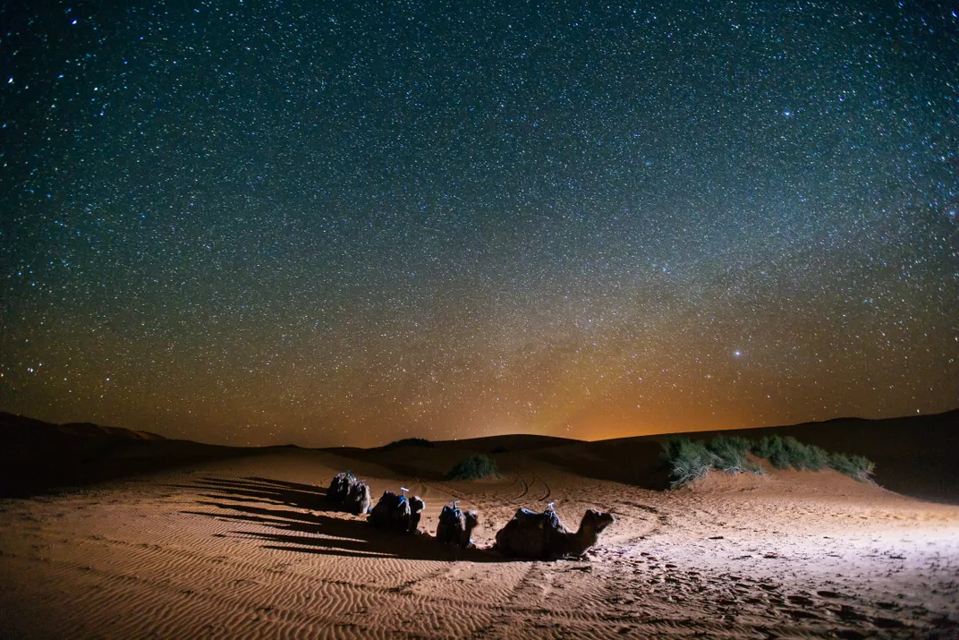 Camels laying down in the desert at night