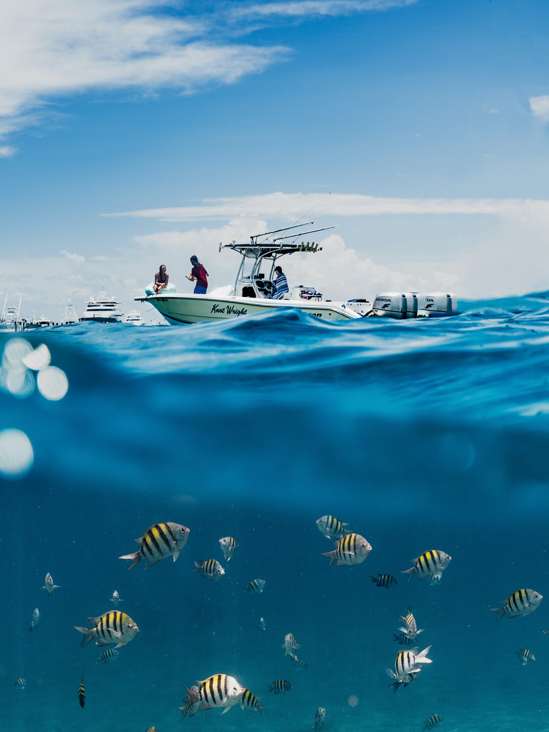 Boats and tropical fish off the coast of Jupiter, FL (photo: Chase Baker)