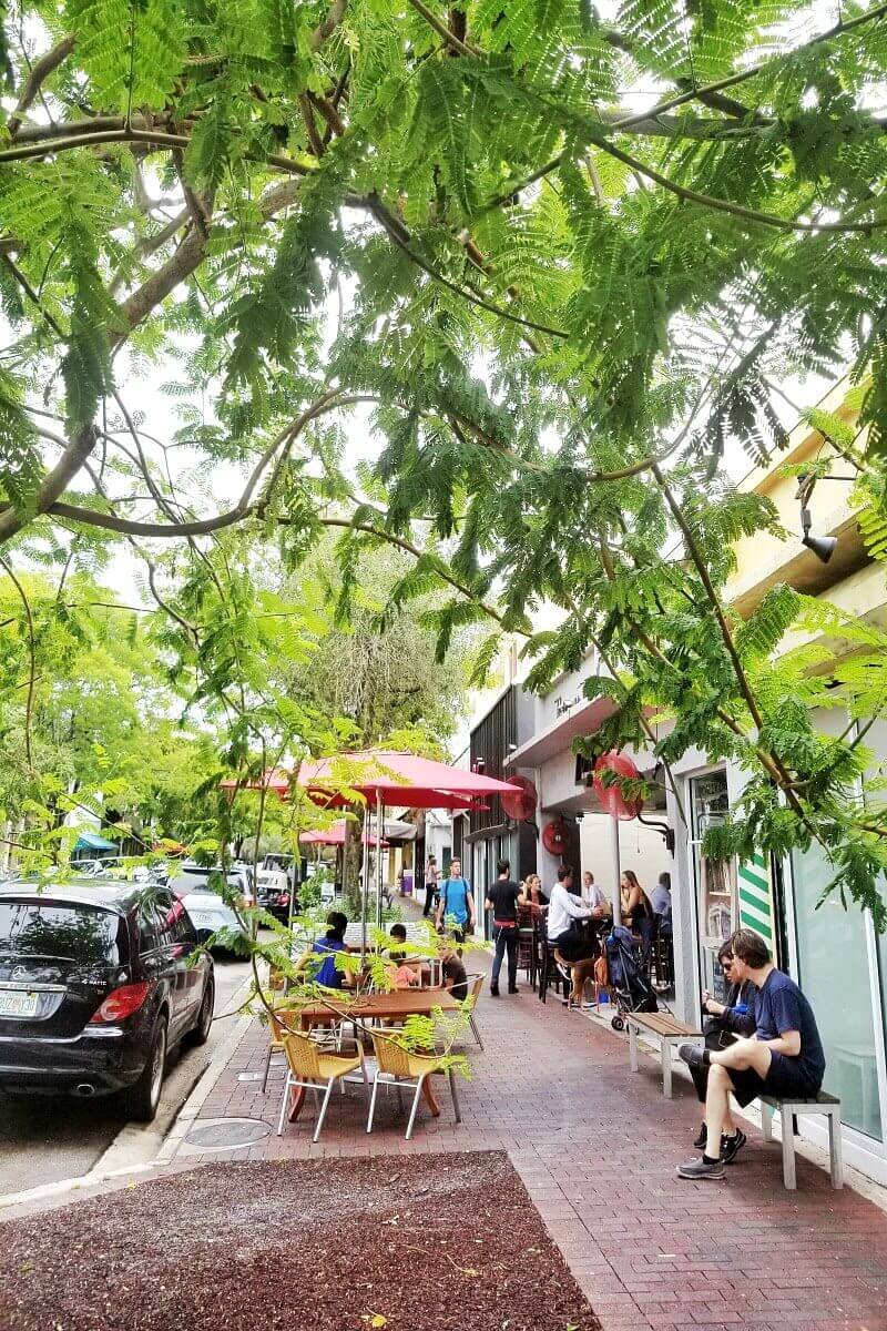 tree lined streetscape Coconut Grove, Miami, Florida