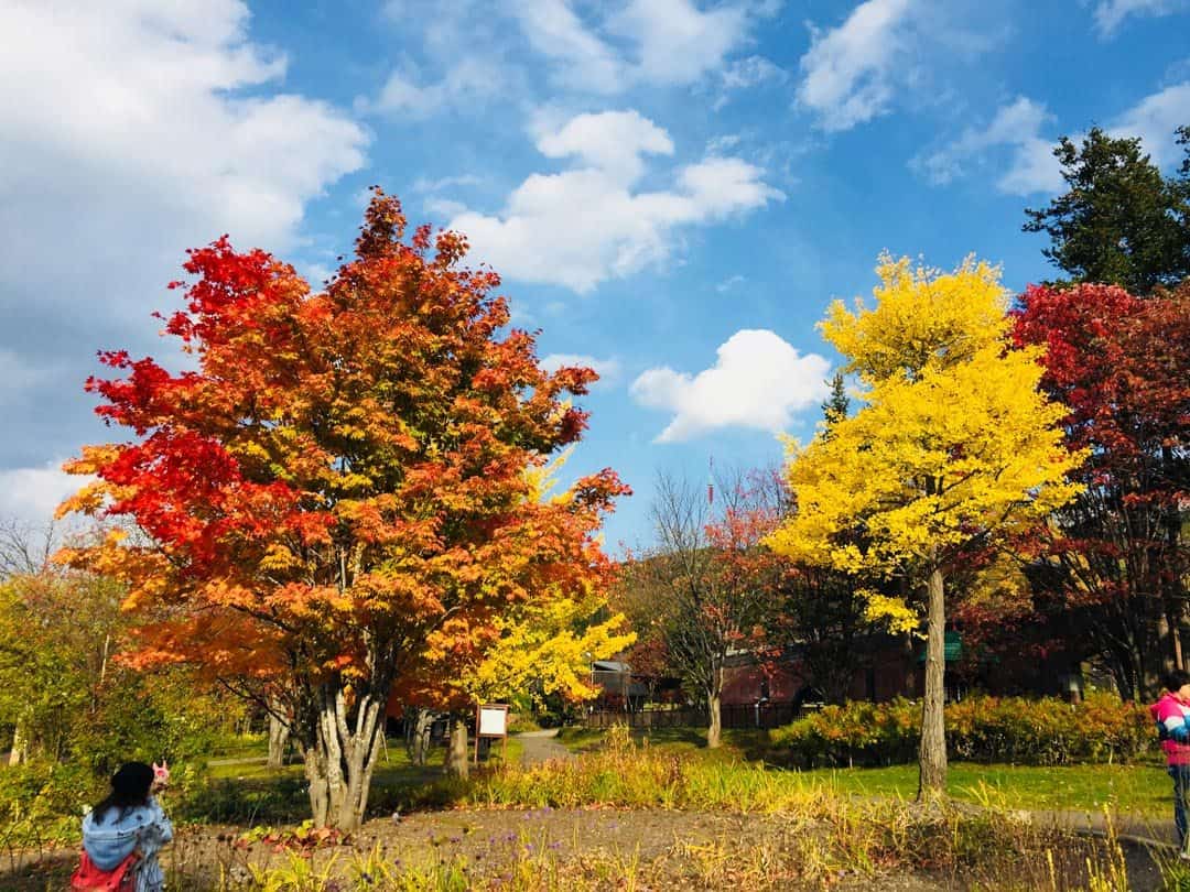 Autumn Hokkaido Itinerary