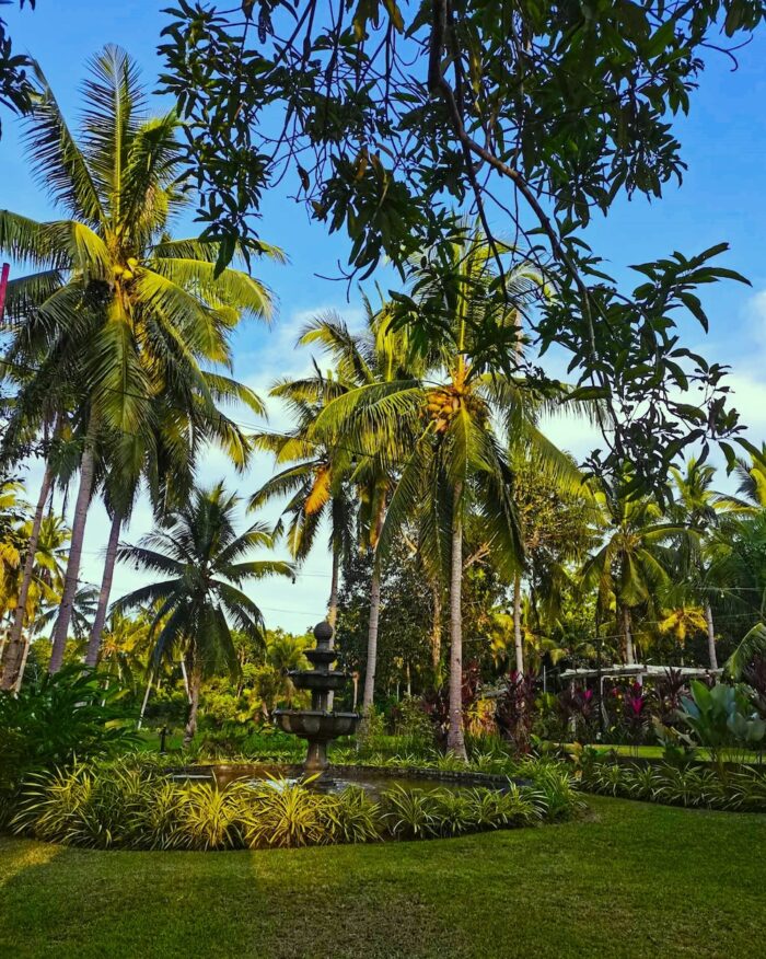 Green Thumb Farm in Corella