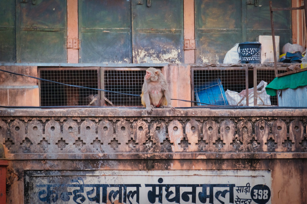 The murky terracotta of the famed Pink City