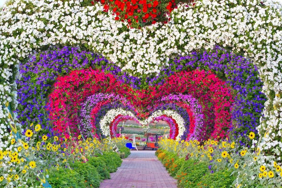 Heart shaped flower arch in Dubai Miracle Garden, UAE