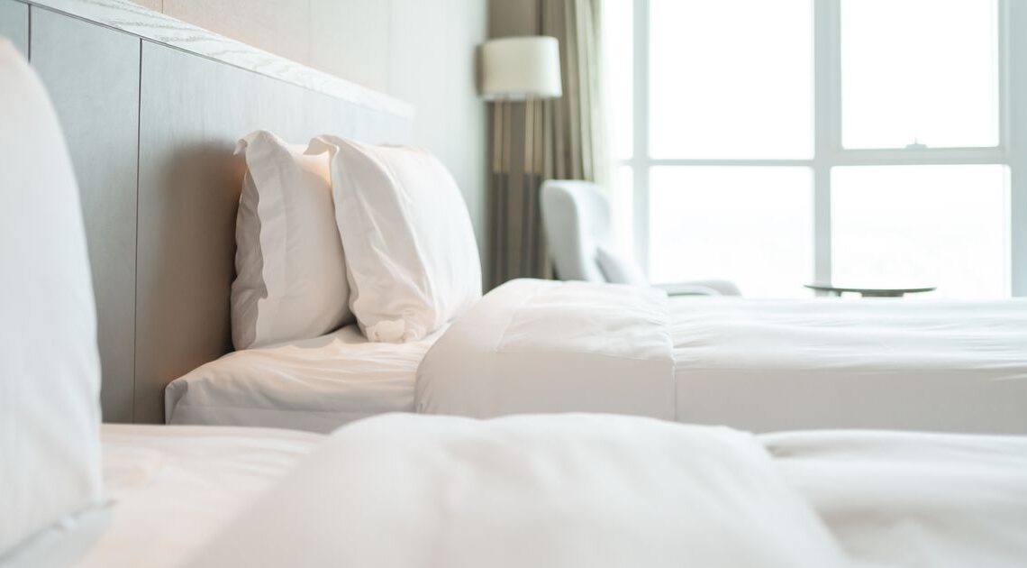 How To Check For Bed Bugs In Your Hotel Room