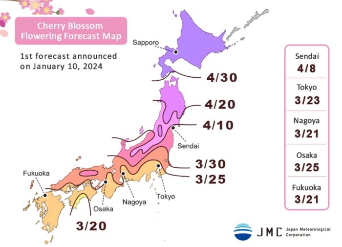 Japan cherry blossom forecast for 2024 photo by Japan Meteorological Corporation