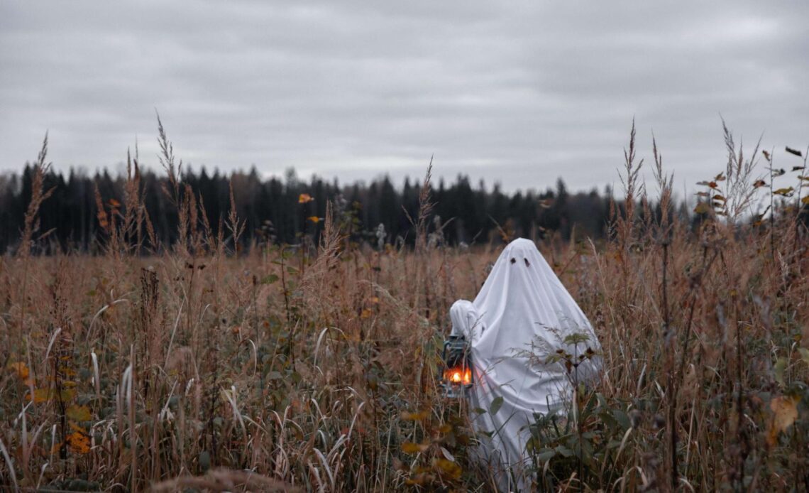 Ghost with a lantern in a field (photo: Monstera Production, Pexels.com)