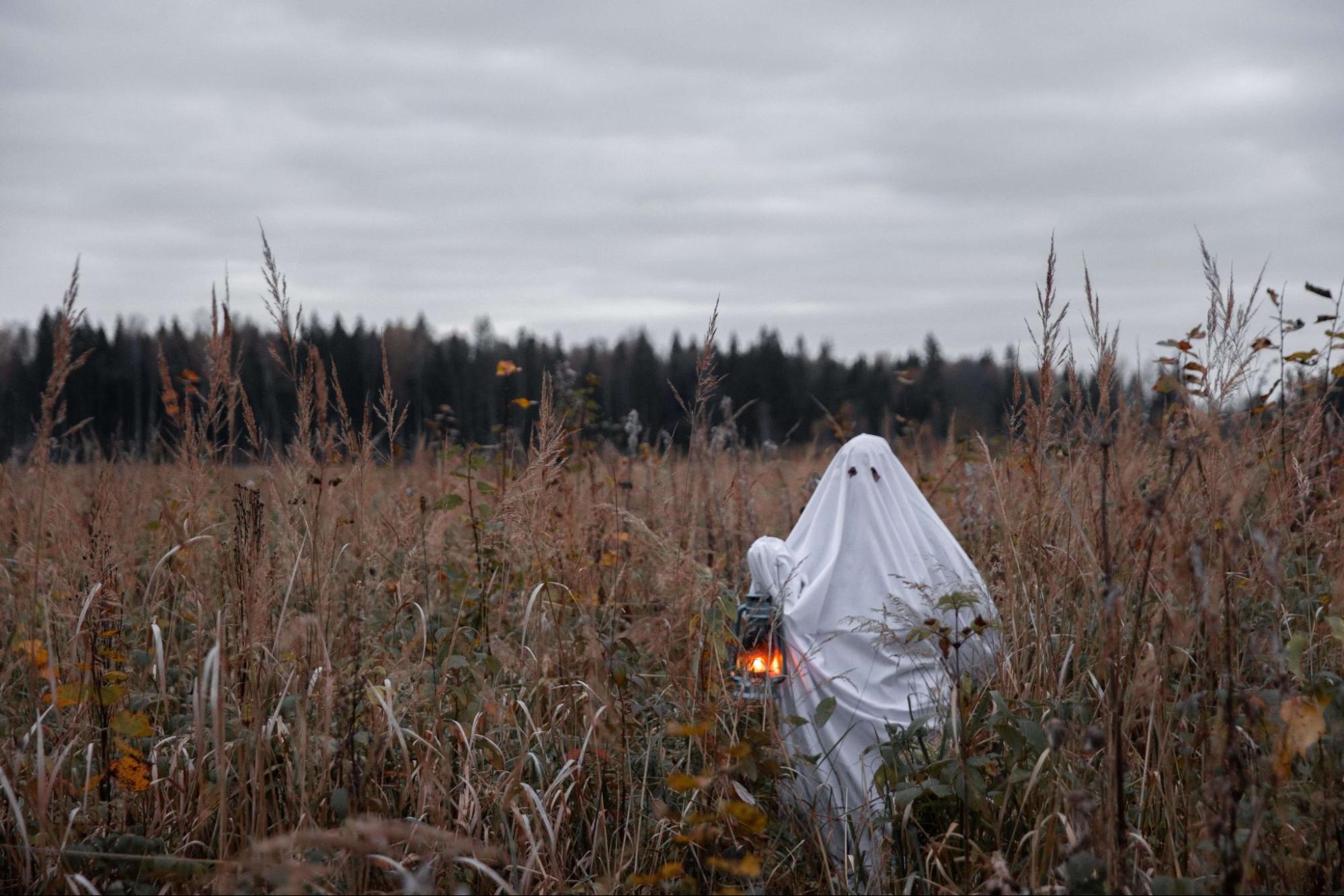 Ghost with a lantern in a field (photo: Monstera Production, Pexels.com)