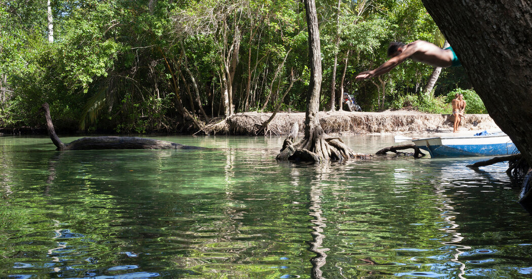 Swimming in the Rivers and Springs of the Dominican Republic