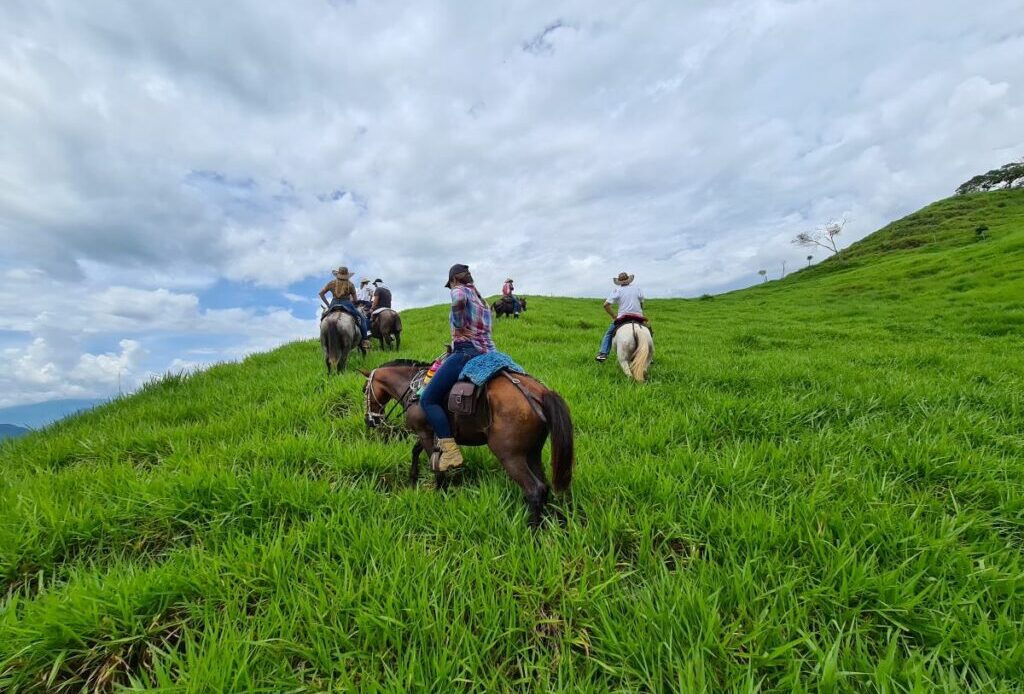 people horseback riding in field on mountain