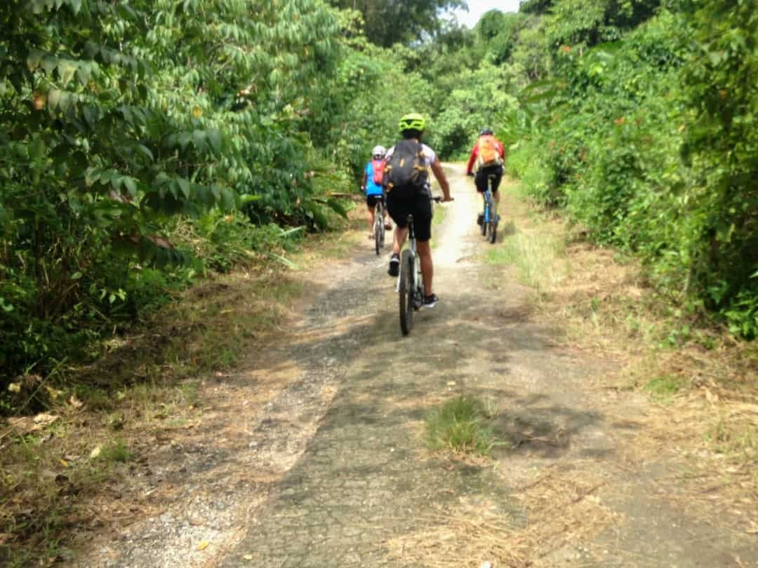 Mountain Bike Trinidad And Tobago