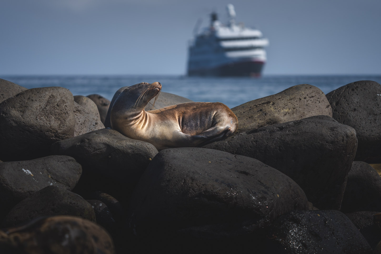 Best-Galapagos Cruises HX Hurtigruten Expeditions