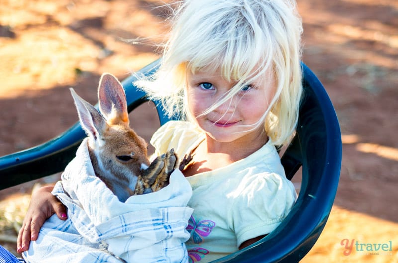 young girl holding baby Kangaroo 