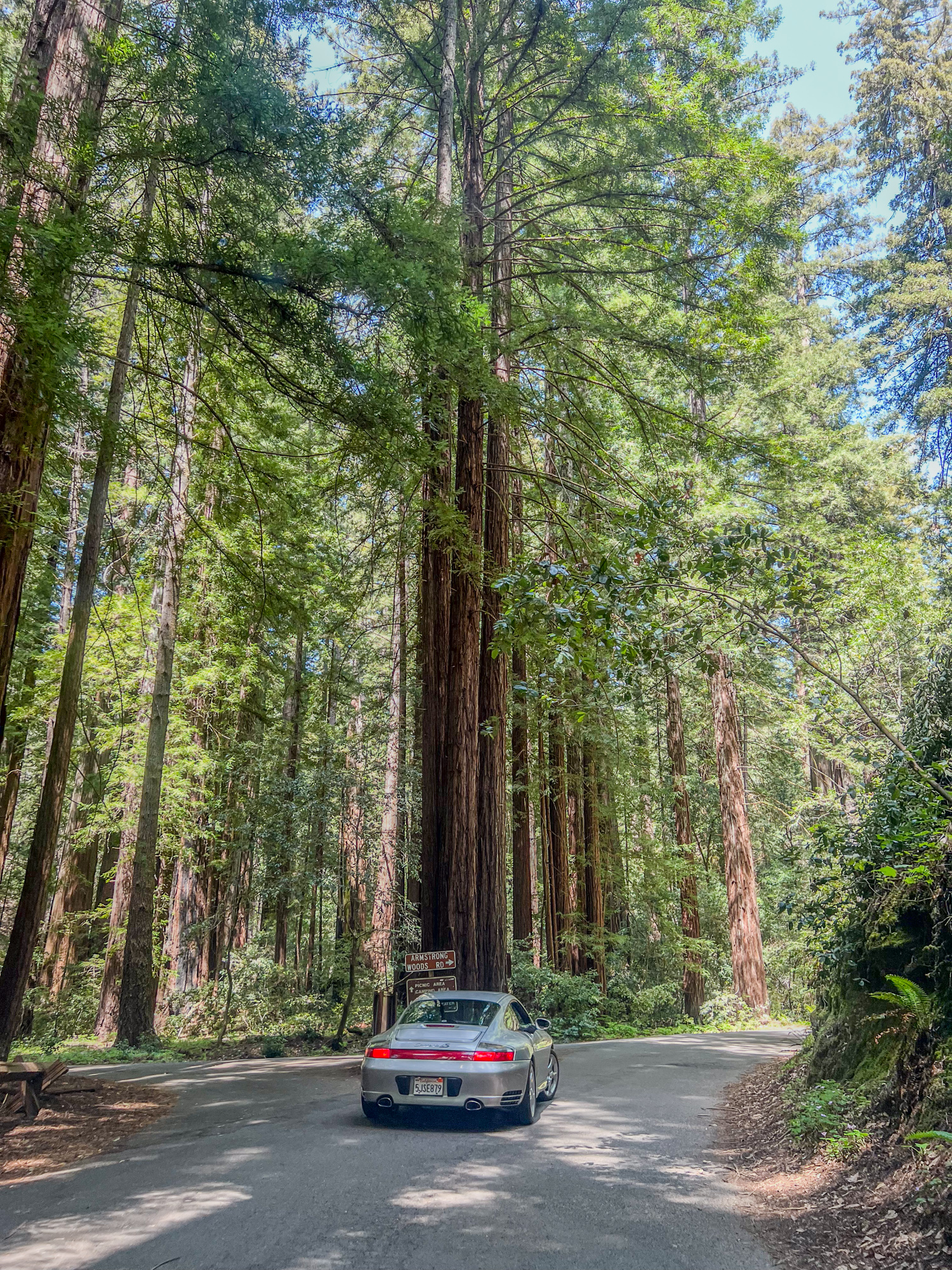 Driving into Armstrong Redwoods State Natural Reserve in Northern California