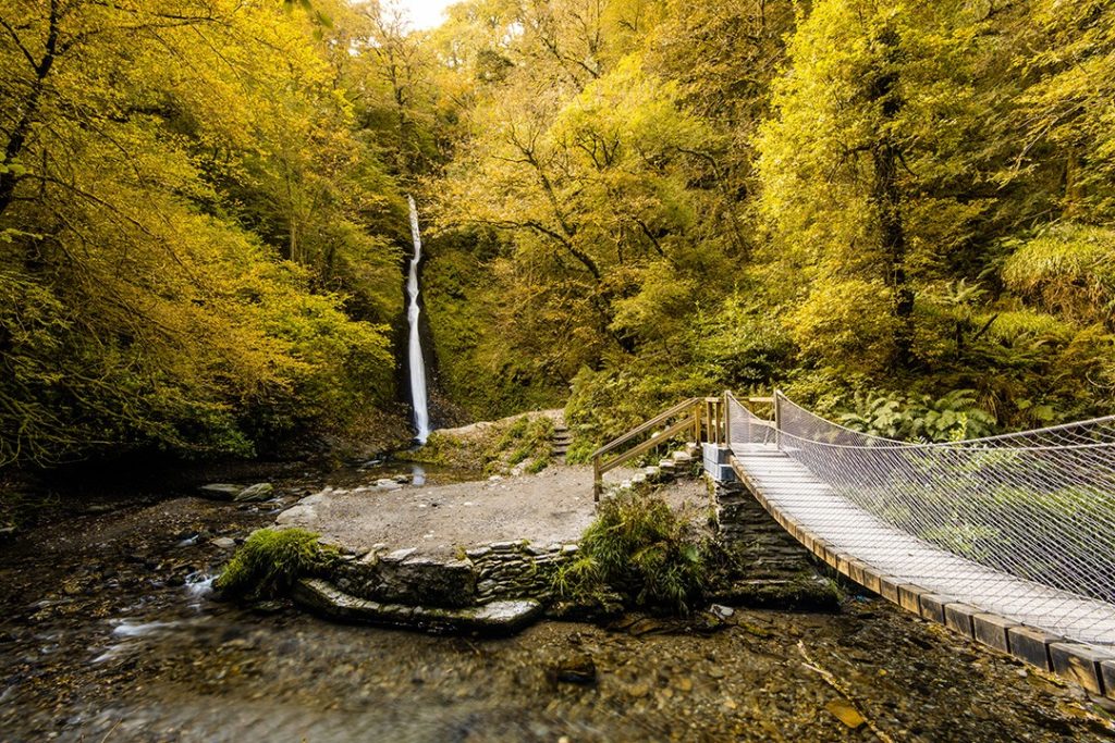 Lydford Gorge is one of the best hikes in Dartmoor National Park 