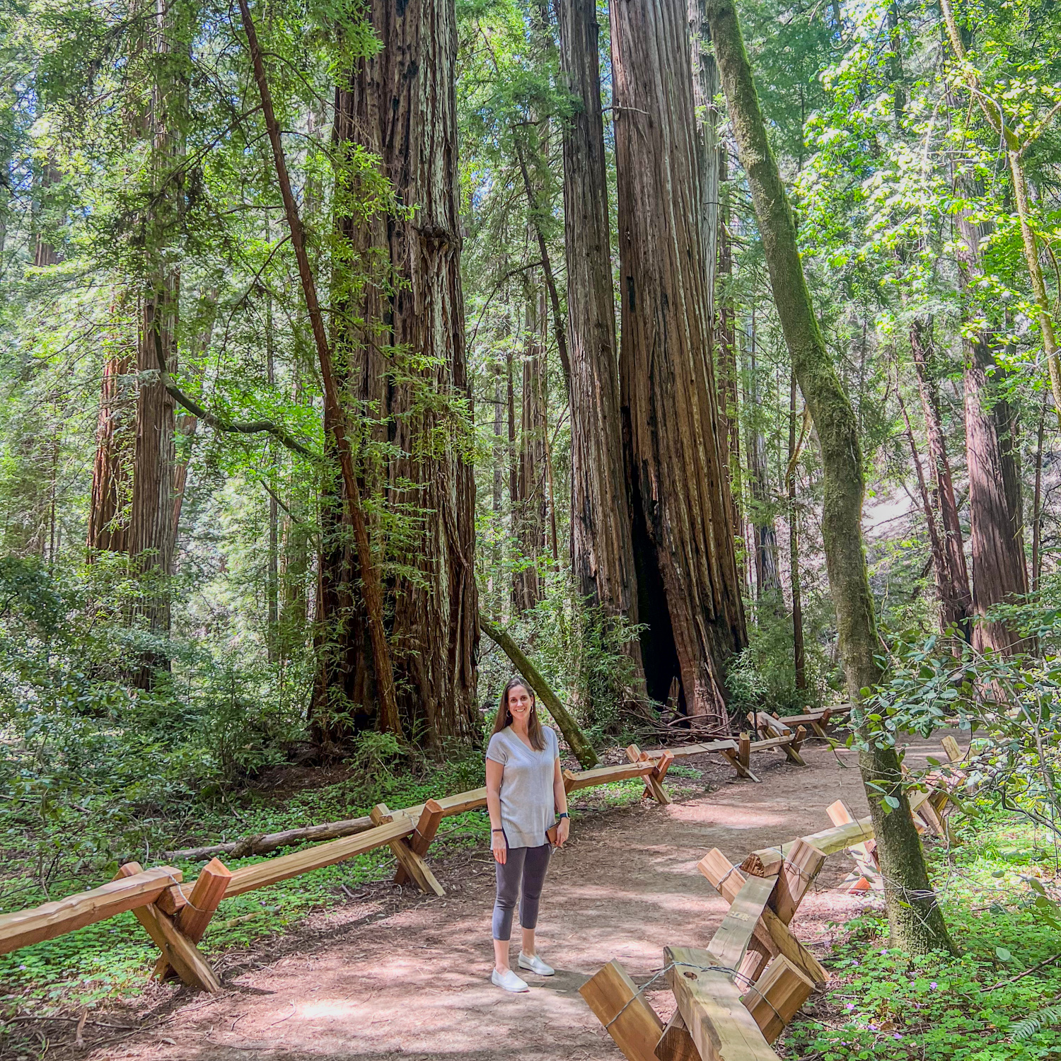 Kel on the trail, among the Armstrong redwoods