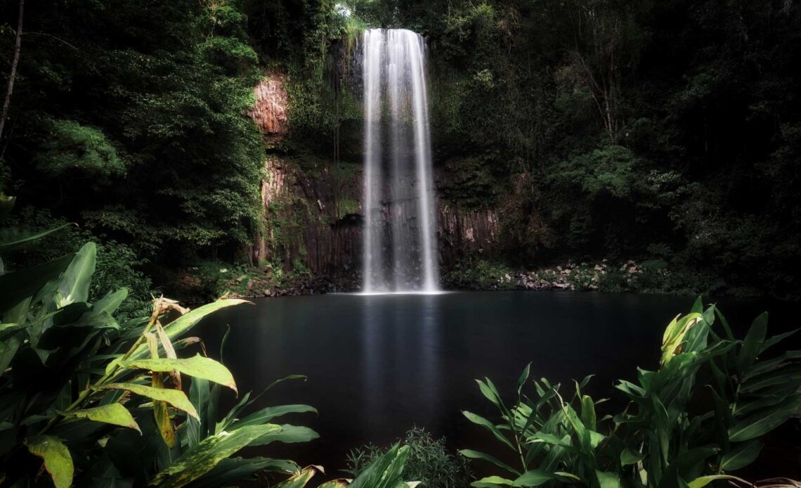 Atherton Tablelands Waterfalls - The 10 BEST Cascades to See (2024 Guide)