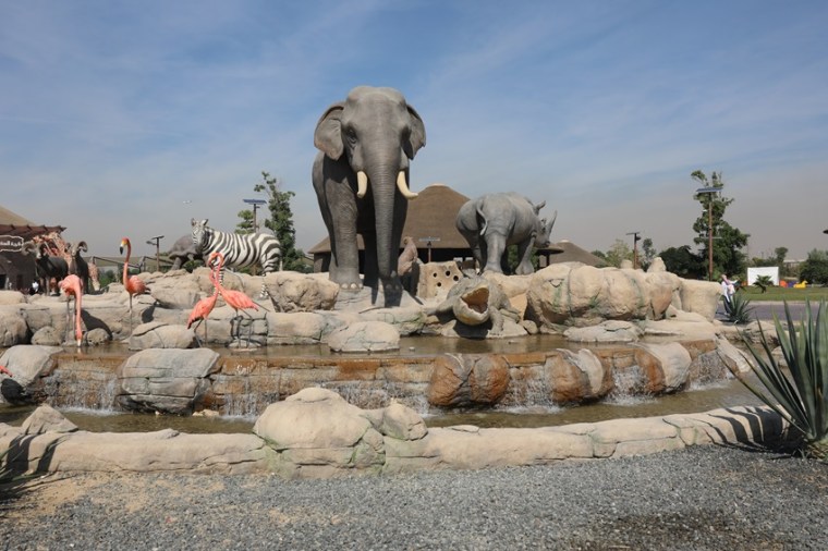 Dubai Safari Park is one of the best spots in Dubai for families
