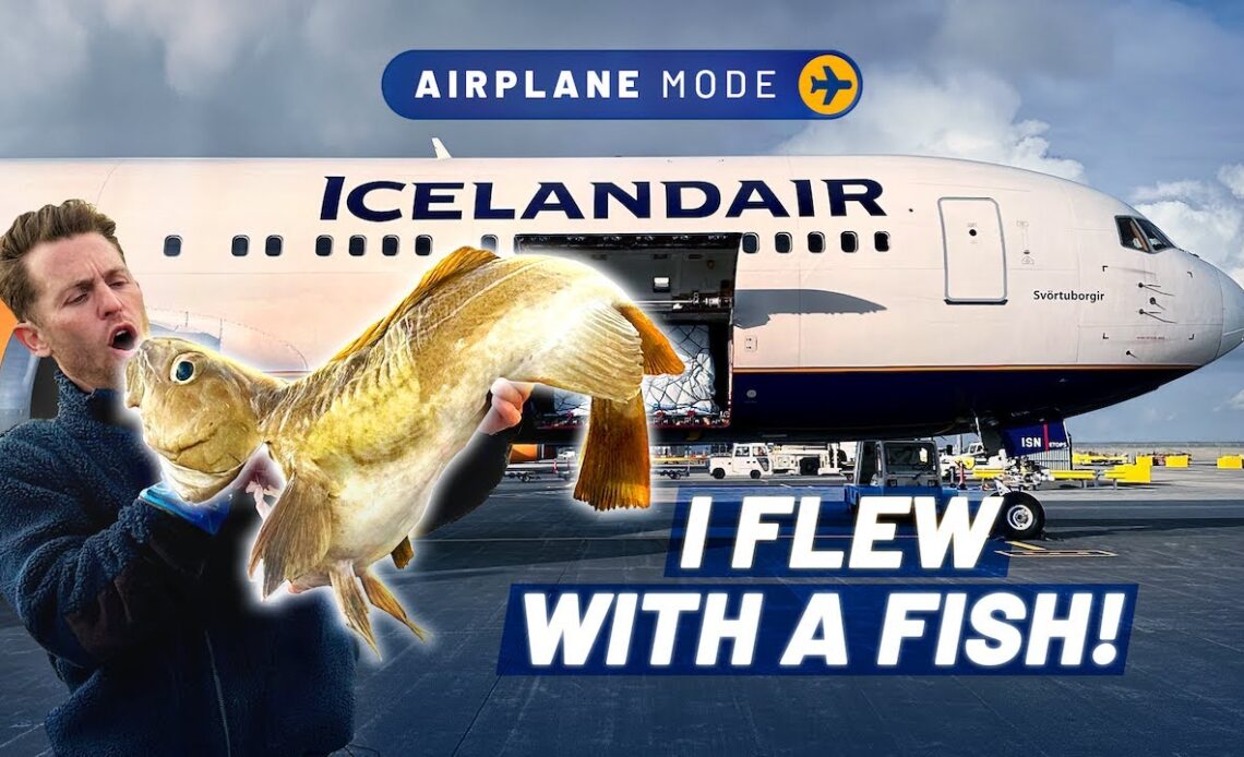 First Class Fish | How Icelandair delivers from sea to plate in 36hrs